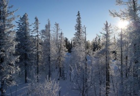 Отель Гора Белая в Свердловской области