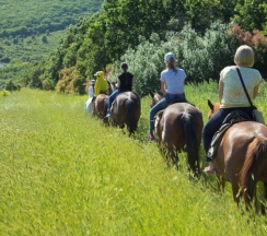 Семейный с балконом с прямым видом на море в Aqualife