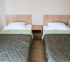 2-местный номер стандарт в Звездная