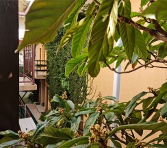 Стандарт четырехместный в У Валентины