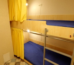 Многоместный женский номер Пчелка в Sota House
