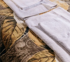 Комфорт 3-х местный в Milana