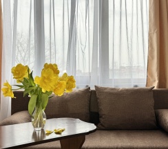 4х местный комфорт-плюс с видом на бассейн в Эргес