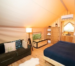 NEW! PROMO в Лес