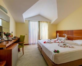 Двухместный номер Standard с балконом двуспальная кровать в Viking Park Hotel
