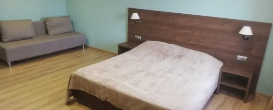 Двухместный номер Comfort (двуспальная кровать) в Пилот