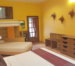Люкс семейный Big Bee в Birds and Bees Resort