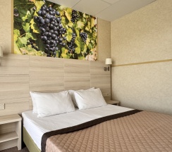 Трехместный Комфорт с террасой в Лоза Хутор