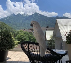 Квартира в Куб_в _Кубе