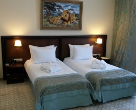 Люкс для гостей с ограниченными возможностями в Биляр Палас Отель