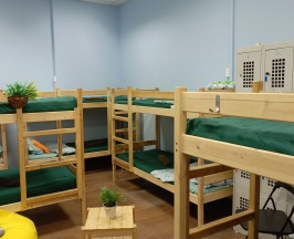 Кровать в общем 12 местном номере в Garden 22/2