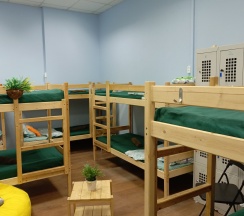 Кровать в общем 12 местном номере в Garden 22/2