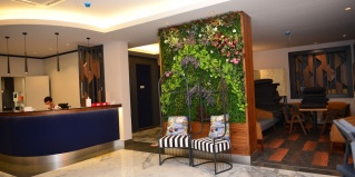 Армуталан: Отель Oasis Otel