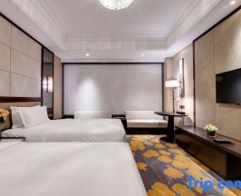 Двухместный номер Deluxe 2 отдельные кровати в Phoenix Hotel