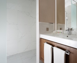 Двухместный номер Classic с балконом 2 отдельные кровати в Swissotel Wellness Resort Alatau Almaty