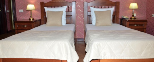 Номер стандарт с 2 односпальными кроватями в Нальчик Холл