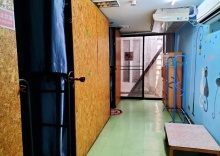 Кровать в общем номере с 6 комнатами в Chiang Mai Panda Hostel