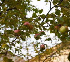 Номер с балконом в Jazzclub