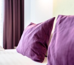 Двухместный номер Business двуспальная кровать в Hotel Demas City