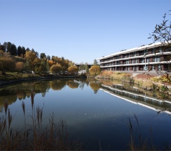 Однокомнатный одноместный номер в СберУниверситет