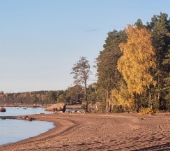 Коттедж стандарт в Олта