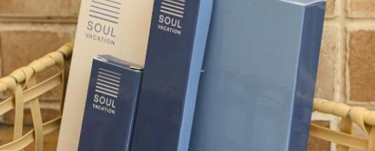 Вилла с 3 комнатами в Soul Vacation Resort and Spa, Colva
