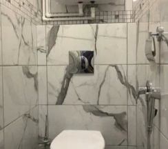 Tulip в Radar Hostel