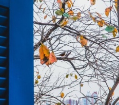 Номер Standard с балконом в Paradiso Hostel