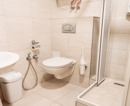Стандартный одноместный в Astor Hotel 4*