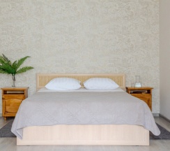 Номер Comfort с балконом в Графская поляна