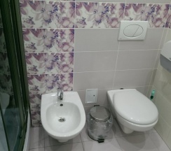 Трёхместный номер Superior в Радуга