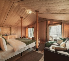 Сафари в Дзен