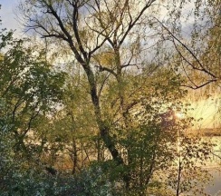 Дом в Волжские зори