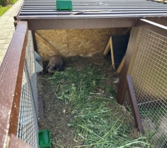 BarnHouse №5 (оснащение дома, стоимость банного чана и бани см. Подробнее) в Dacha