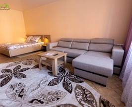 2-местные апартаменты улучшенные №7 в Siberia apartments