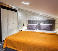Двухместный номер с одной кроватью на мансардном этаже. в Key hotel