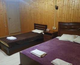 Трехместный делюкс с двухспальной и односпальной кроватью в Myesto