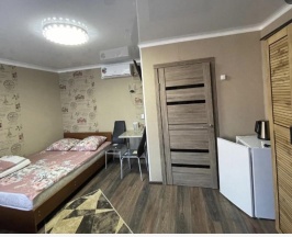 Номер стандарт с 1 двуспальной кроватью в Астория
