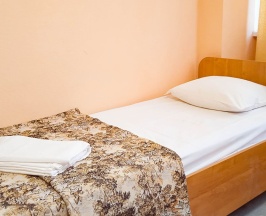 Двухместный номер Эконом в Smart Hotel KDO Пенза