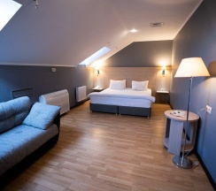 Номер делюкс (мансарда) в Art villa