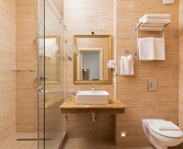 Двухместный  Стандарт Цоколь в Trianon hotel