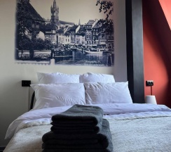 Номер стандарт с 1 двуспальной кроватью Альтштадт в Прусс