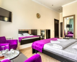 Номер комфорт с 1 двуспальной кроватью в Погости