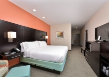 Двухместный люкс двуспальная кровать в Holiday Inn Express & Suites Austin South, an IHG Hotel