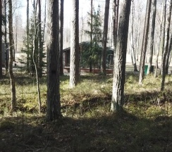 ДЛ: Дома с видом на лес в Ромашка