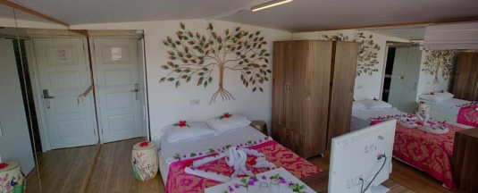 Двухместный клубный номер Standard двуспальная кровать в Club Hotel Anjeliq