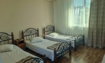 Трёхместный номер Economy в Белая панама