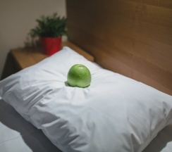 Стандарт двухместный в Dom hotel dme