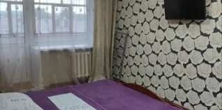 Волжск: Апартаменты Квартира 1-Комнатная с Кондиционером