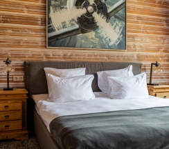 Мансарда №7 в Busel park hotel
